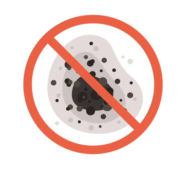 Best Dehumidification Services  in Waynesboro, GA