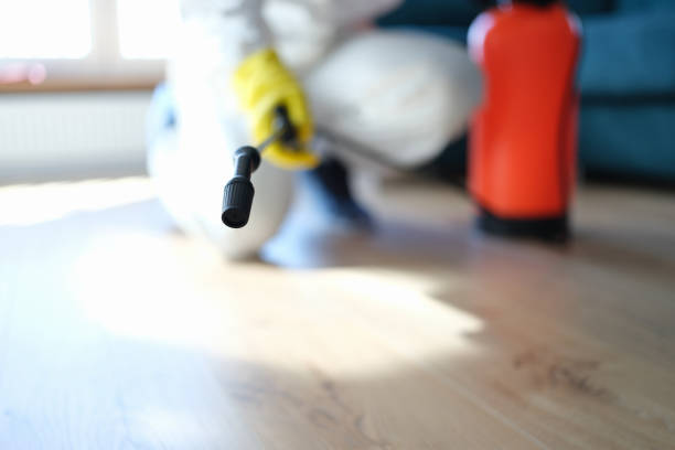 Best Indoor Air Quality Assessment  in Waynesboro, GA